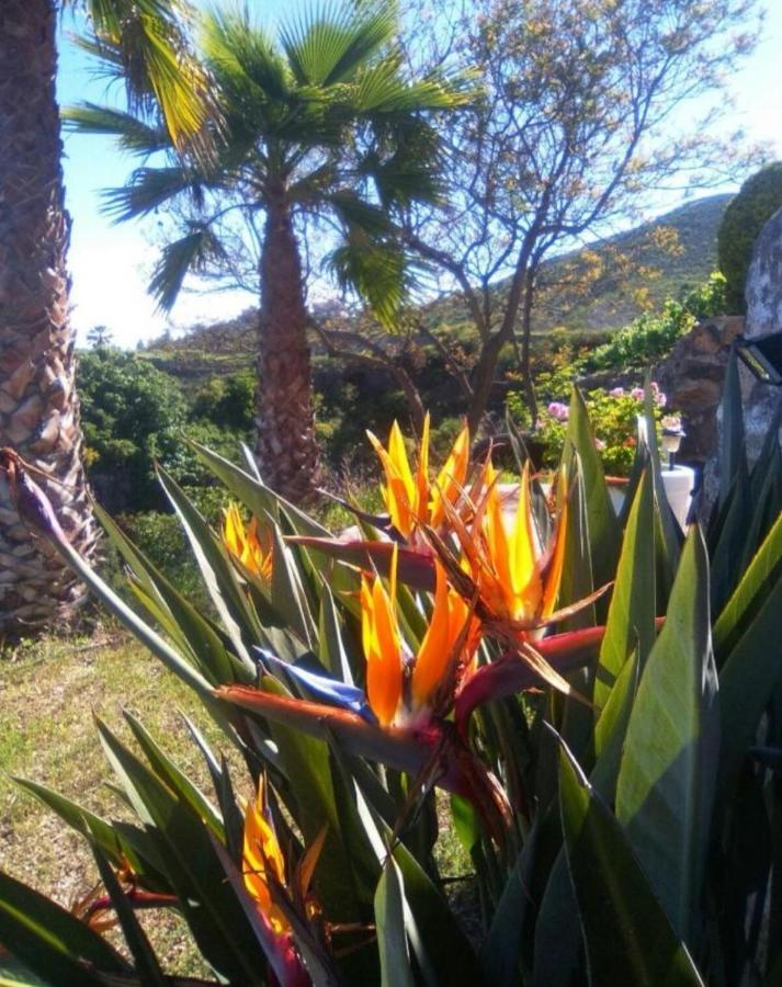 La Casita Ma Petite Folie Tenerife Santa Cruz de Tenerife Eksteriør bilde