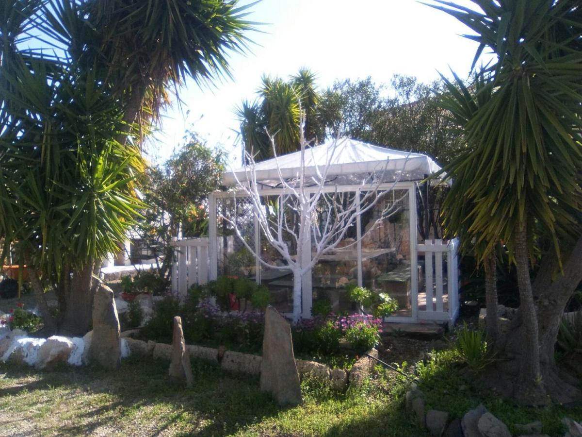 La Casita Ma Petite Folie Tenerife Santa Cruz de Tenerife Eksteriør bilde