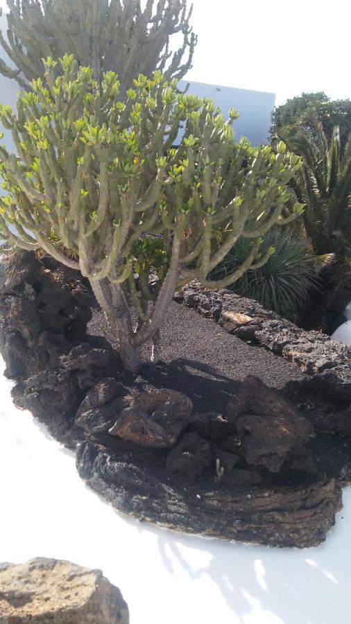 La Casita Ma Petite Folie Tenerife Santa Cruz de Tenerife Eksteriør bilde